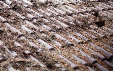 Stoulton roof cleaning companies